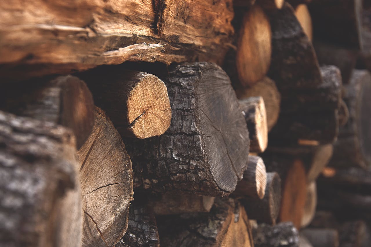 Teakwood supplier in Udaipur - Mewar Timber