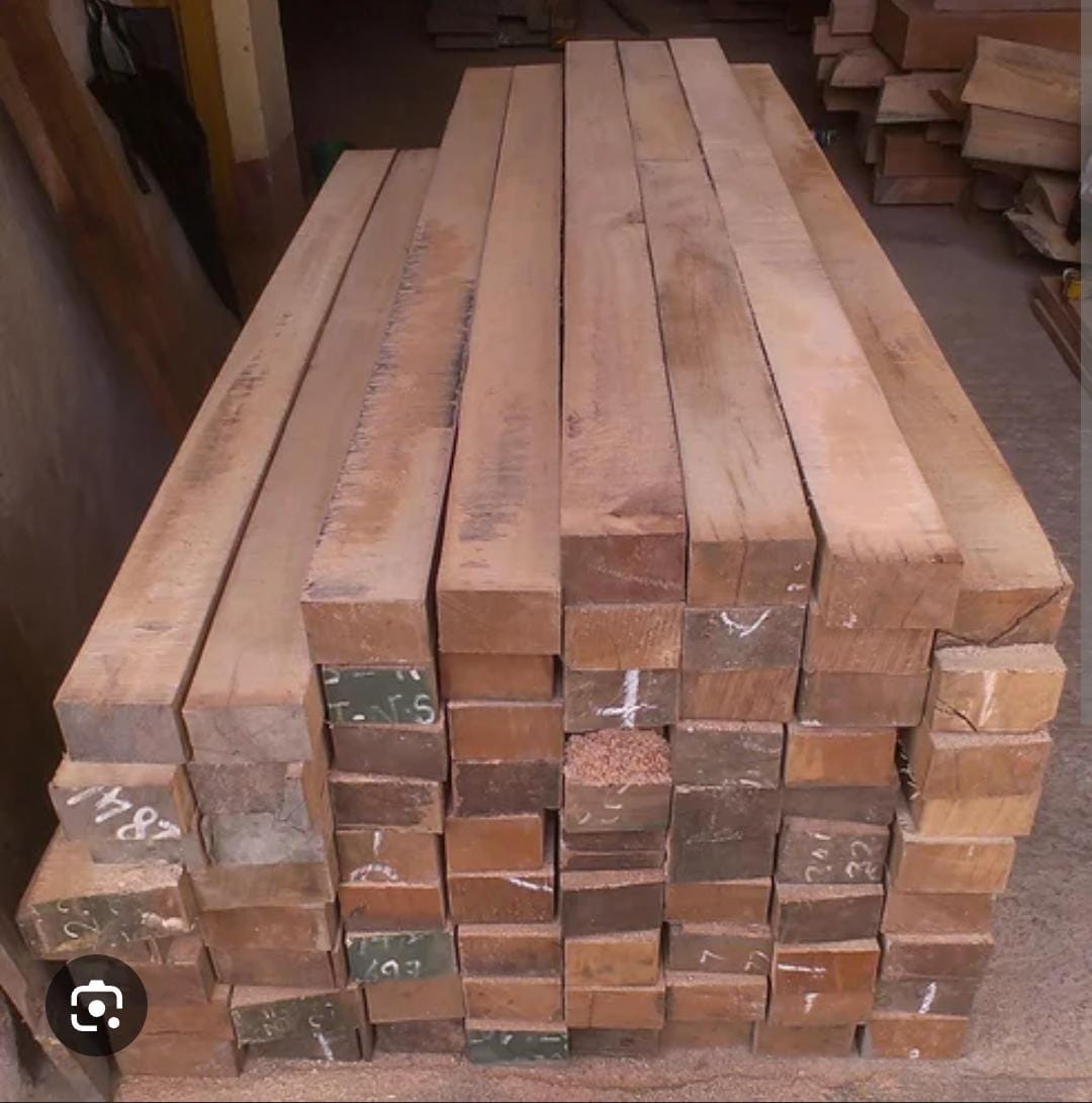 Salwood supplier in Udaipur - Mewar Timber